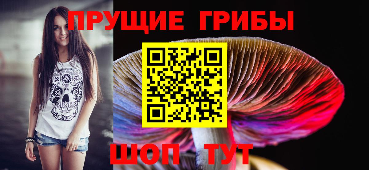 купить наркотики цена  Галлюциногенные грибы Magic Shrooms  Вход с VPN  Галлюциногенные грибы прущие грибы  Муравленко 
