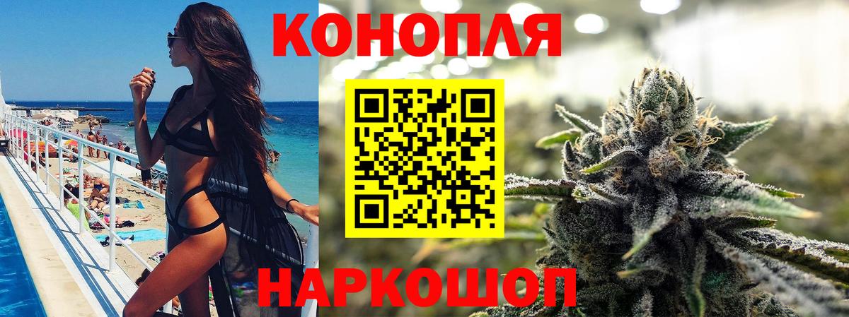 Конопля гибрид Муравленко